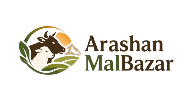 ArashanMalBazar